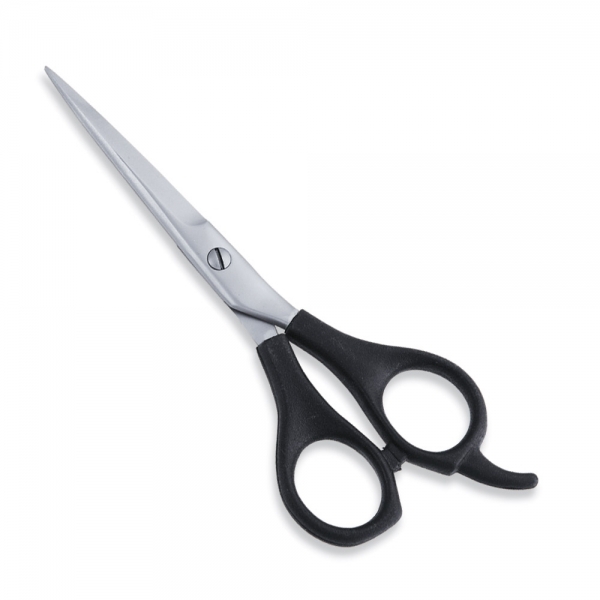 Economy Scissor